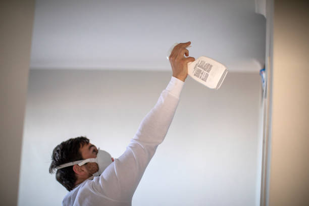 Best Mold Cleaning Services  in Meadowbrook, CA